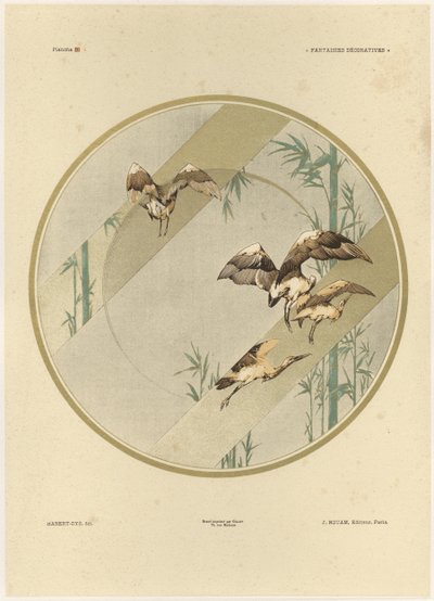 Storker, plate 10 fra 