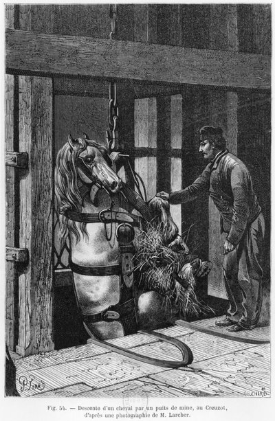 Hest blir vinsjet nedover kolgropa ved Le Creusot, illustrasjon fra 