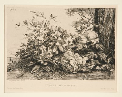 Peoner og Rhododendron av Jules Ferdinand Jacquemart