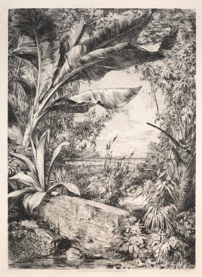 Drivhusets planter av Jules Jacquemart
