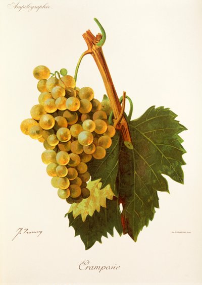 Cramposie-drue av J. Troncy av Jules Troncy