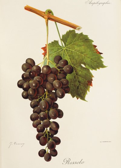 Rossolo-drue av J. Troncy av Jules Troncy