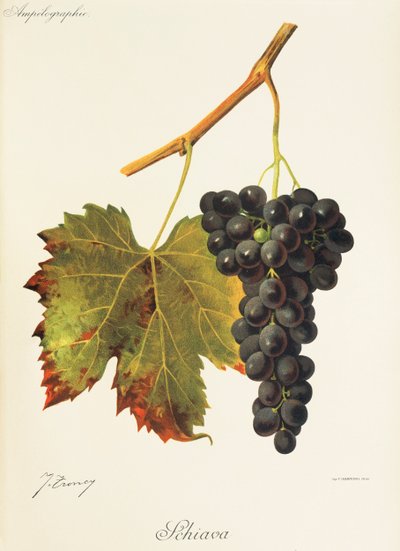 Drueslave av J. Troncy av Jules Troncy
