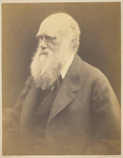 Charles Darwin av Julia Margaret Cameron