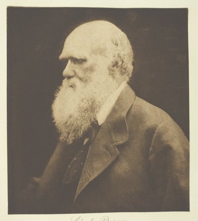 Charles Darwin av Julia Margaret Cameron