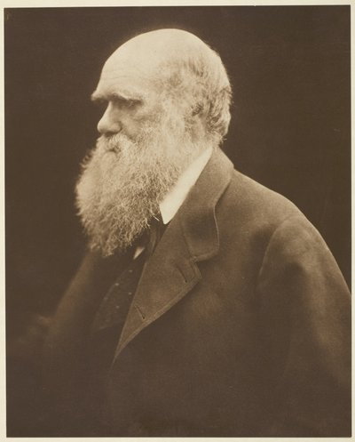  av Julia Margaret Cameron