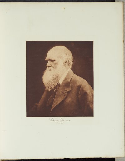  av Julia Margaret Cameron