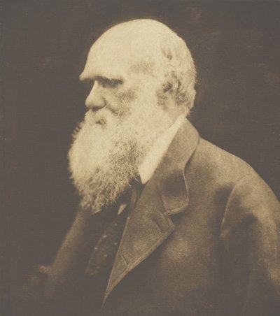 Charles Darwin, 1868, trykt ca. 1893. av Julia Margaret Cameron