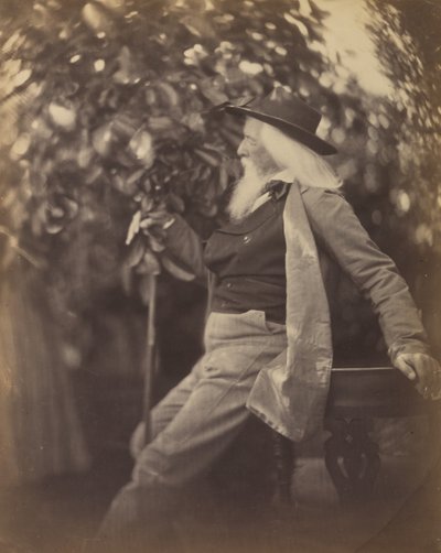 Charles Hay Cameron, Esq., i hagen hans ved Freshwater, 1865-67. av Julia Margaret Cameron