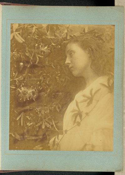  av Julia Margaret Cameron