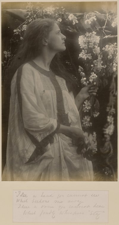  av Julia Margaret Cameron