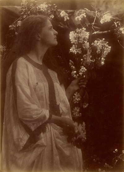  av Julia Margaret Cameron