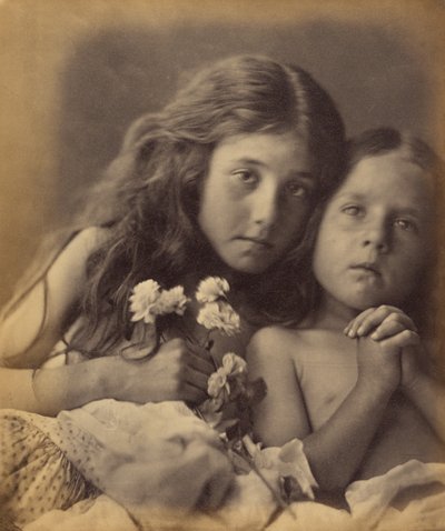 De røde og hvite rosene av Julia Margaret Cameron