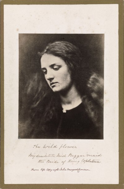 Villblomsten av Julia Margaret Cameron