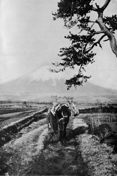 Bønder i regionen Fuji ikke ved navn, men bare som O Yama, det ærefulle fjellet, c1900, av Julian Leonard Street