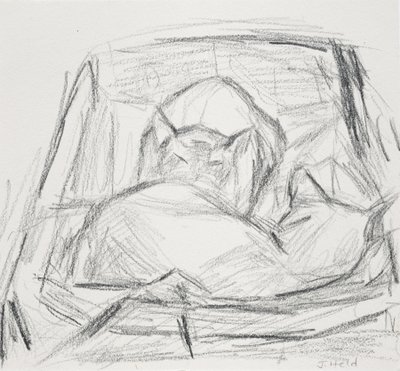 Katter, 2015 av Julie Held
