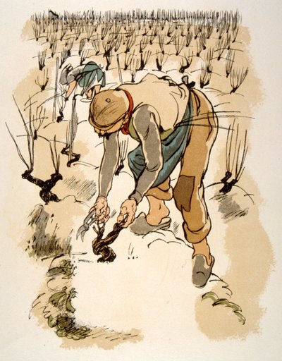Humoristisk vinillustrasjon 1946. Illustrasjon av Julien Pavil av Julien Pavil