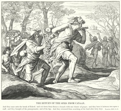 The Return of the Spies from Canaan (gravering) av Julius (after) Schnorr von Carolsfeld