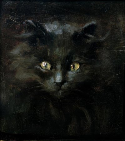 Portrett av en katt av Julius Adam