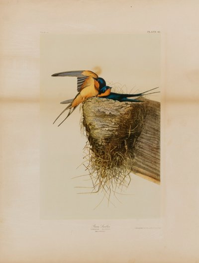  av Julius Bien