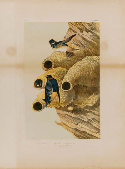  av Julius Bien
