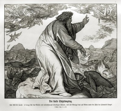 Skapelsens femte dag, 1. Mosebok av Julius Schnorr von Carolsfeld