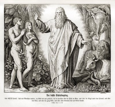 Skapelsens sjette dag, 1. Mosebok av Julius Schnorr von Carolsfeld