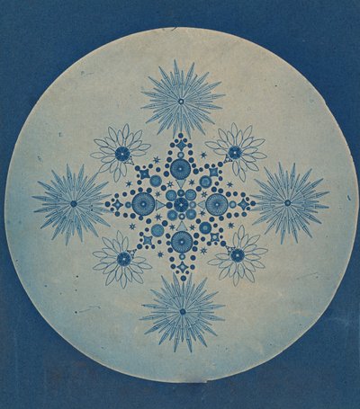 [Frustules of Diatoms], ca. 1870. av Julius Wiesner.