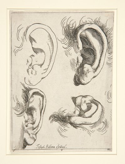 Studier av fire ører av Jusepe de Ribera