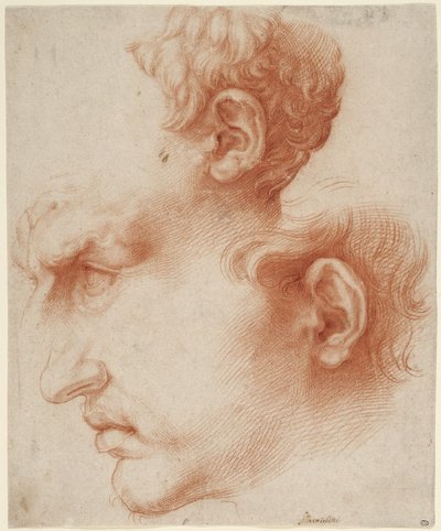 Studier av mannshode i profil av Jusepe de Ribera