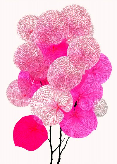 Moderne rosa botaniske motiver av Justyna Jaszke