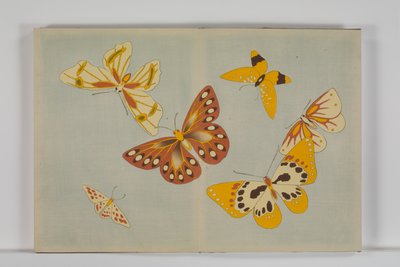Chō senshu (Tusen typer sommerfugler), bind 1 av Kamisaka Sekka