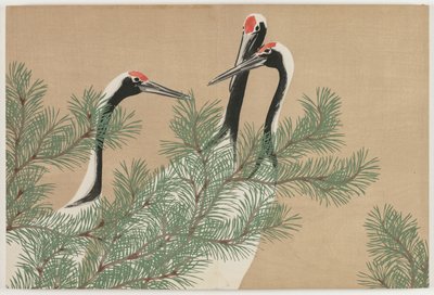 Flowers of a Hundred Worlds (Momoyogusa): Cranes (Tsuru) av Kamisaka Sekka