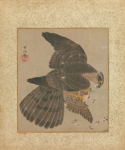 Album of Hawks and Calligraphy, 1600-1700-tallet. av Kanô Yôboku Tsunenobu