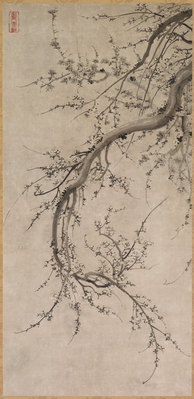 Prunus, 1600-tallet. av Kano Ein