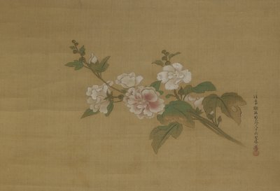 En gren av blomstrende hibiskus, Edo-perioden (farge på silke) av Kano Tanyu