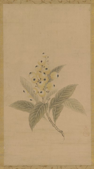 En gren av mispel, Edo-perioden, 1600-tallet. av Kanō Tan’yū