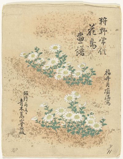 Indeks Blomster- og fugleskisser av Kano Tsunenobu (serietittel) Kano Tsunenobu kacho gafu (serietittel på objekt) av Kano Tsunenobu