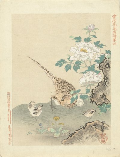 Vaktel med kyllinger Blomster- og fugleskisser av Kano Tsunenobu (serietittel) Kano Tsunenobu kacho gafu (serietittel på objekt) av Kano Tsunenobu