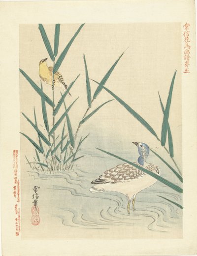 Vannfugl ser på gul sangfugl Blomster- og fugleskisser av Kano Tsunenobu (serietittel) Kano Tsunenobu kacho gafu (serietittel på objekt) av Kano Tsunenobu