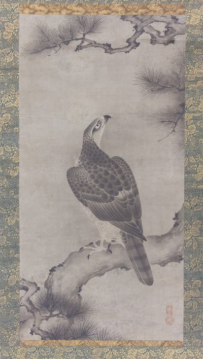 Hawk on a Pine Shoo zu, 1500-tallet. av Kano Yukinobu
