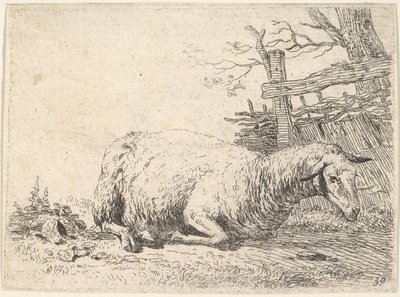 En sau som ligger med bena foldet under kroppen ved siden av et tregjerde, hun..., ca. 1655. av Karel Du Jardin