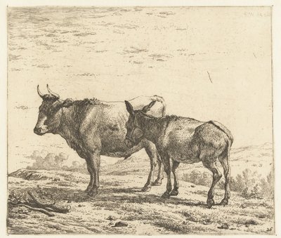 Okse og et esel av Karel Du Jardin