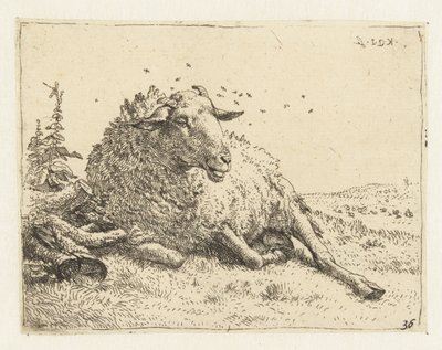 Sau nær en trestamme av Karel Du Jardin