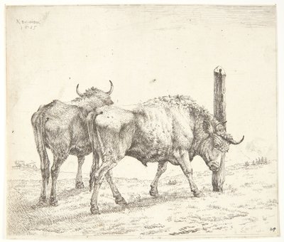 De to oksene av Karel Du Jardin
