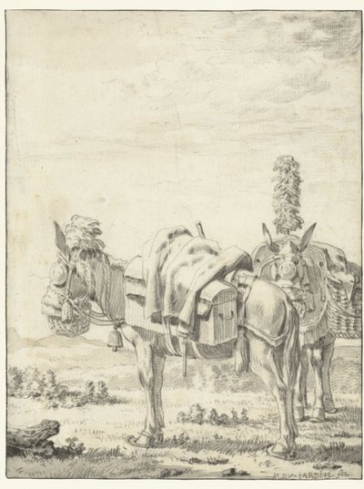 To muldyr av Karel Du Jardin
