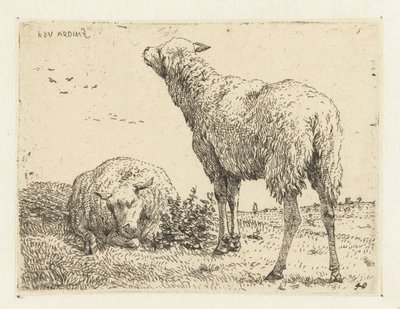 To sauer av Karel Du Jardin
