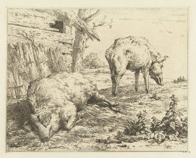 to villsvin av Karel Du Jardin