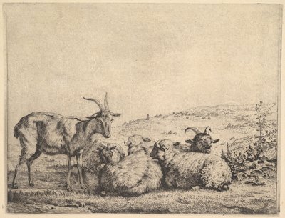 To geiter og tre sauer, 1655. av Karel Du Jardin