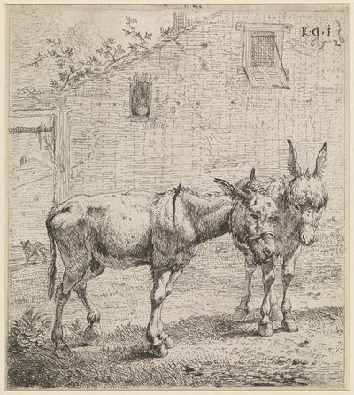  av Karel Dujardin